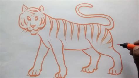 Find the right instructor for you. TIGER LINE DRAWING BALAJARTS REPUBLIC DAY - YouTube