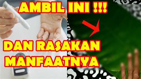What does ambil mudah mean in malay? CUKUP AMBIL INI SAJA CARA MUDAH MENGOBATI DIABETES | Cara ...