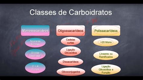 Classificação in dicionário aberto based on novo diccionário da língua portuguesa de cândido de figueiredo, 1913. Carboidratos: Classificação, Digestão e Absorção | VIVA ...