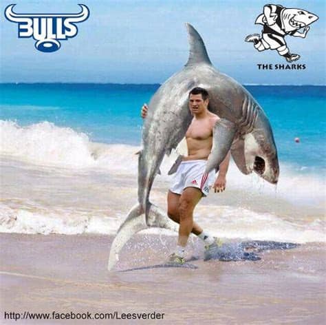 Do not miss the sharks vs bulls game. Rugby Tips: Preview: Sharks vs Bulls