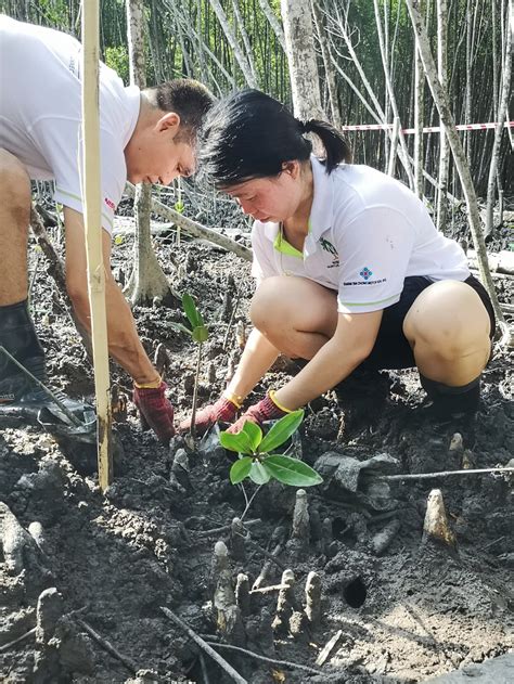 Maybe you would like to learn more about one of these? Program 'Nissan Nurtures Nature' tanam 310 anak pokok paya ...