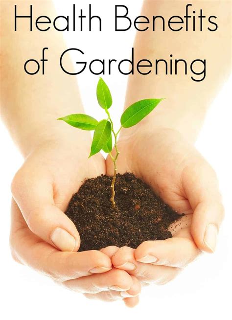 Check spelling or type a new query. Mental Health Benefits of Gardening - Turning the Clock Back