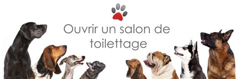 Maybe you would like to learn more about one of these? Ouvrir un salon de toilettage - Easybel Toilettage