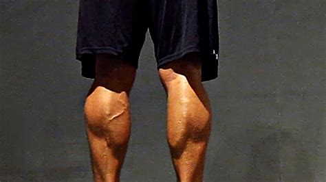 Lower limb in humans if we go from the knee towards the ankle. Build STRONGER CALVES/Lower Leg Muscles - Workout Routine ...
