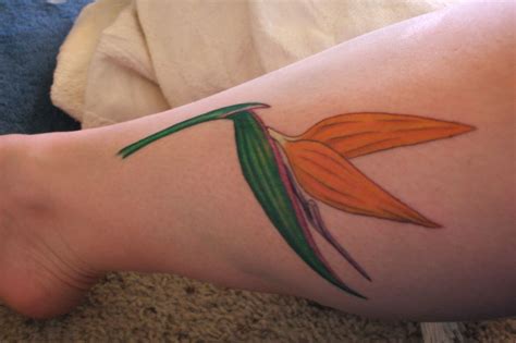 Nirmal is an individual descending from an artistic family; Bird of Paradise Tattoo | photo page - everystockphoto ...