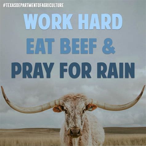 Find the latest cactus, inc. South Texas CattleWomen - Home | Facebook