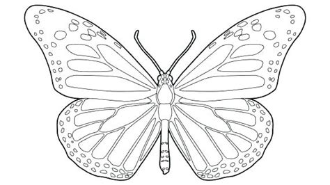 Kids hand drawing line art. Butterfly Drawing Outline at PaintingValley.com | Explore ...