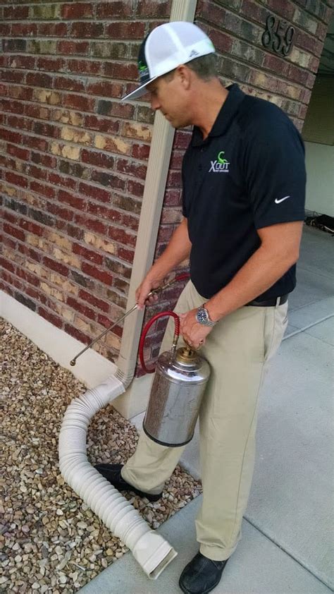 The service includes four scheduled visits a year. Mosquito control service Austin | Call us Today (512) 271-5656