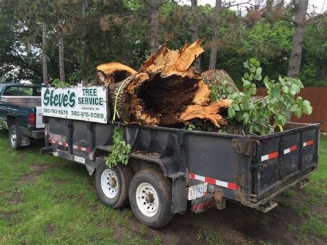 Directory of local tree service locations. Lot Clearing | Land Clearing | Alexandria, MN