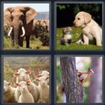 4 pics 1 word daily puzzle philippines 2018 answer 4 pics 1 word june 1 2018 4 pics 1 word june 2 2018 4 pics 1 word june 3 2018 4 pics 1 word june 4 2018 4 list of daily answers for 4 pics 1 word philippines june 2018 edition with image screenshots to solve the level that you stuck on this game. 4 Pics 1 Word 6 letter answers