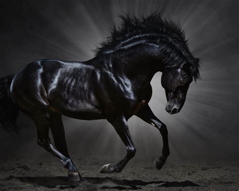 Ebook dancing with your dark horse: Dark Horse HD wallpaper for 1280x1024 screens ...