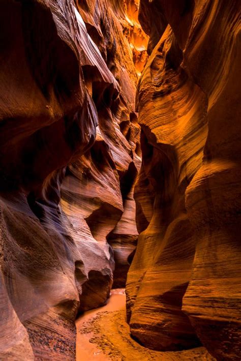 Or at least that we know about. Best Day-Hike ever! Buckskin Gulch, Utah - aconcagua.de in 2020 | Praktische tipps, Fotografen ...