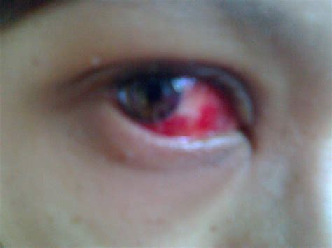 We did not find results for: TENTANG MATA bersama................ PROF. MADYA DR ...