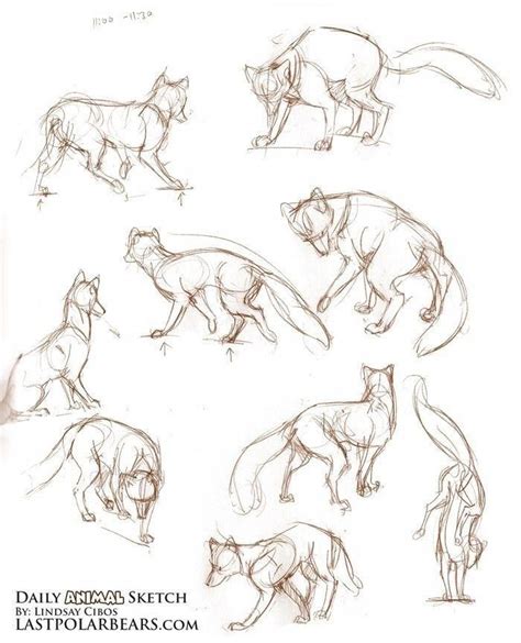 Useful drawing references and sketches for beginner artists. Please click here to learn more about Action poses ... #Actionposes | Animal sketches, Animal ...