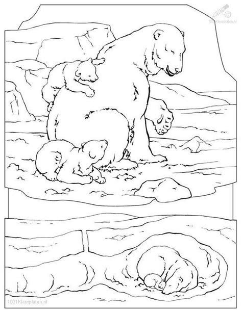 Use the filter on top. Arctic Coloring Pages - Coloring Home