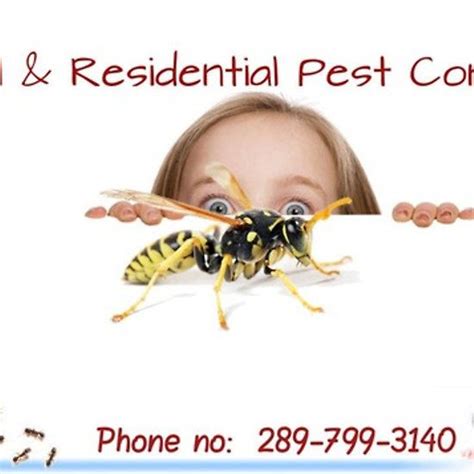 This treatment works by destroying the cells of the. Eco-Friendly Pest Control Solutions In Niagara Falls ...