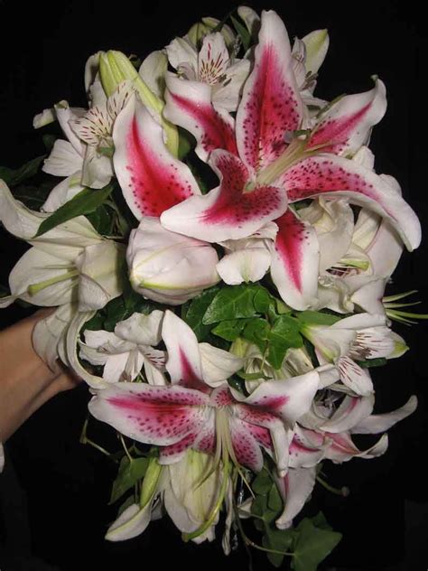 Check spelling or type a new query. asiatic lily in wedding bouquet - Google Search (With ...