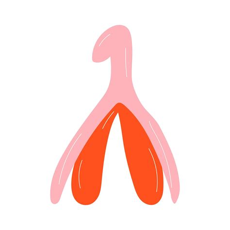 Reproductive system of the clitoris. Clitoral glans.Feminism theme and