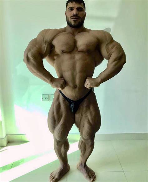 Abdel moneim abu sweile bodybuilder. Worldwide Bodybuilders: Egyptian Apis bull Hassan Mustafa