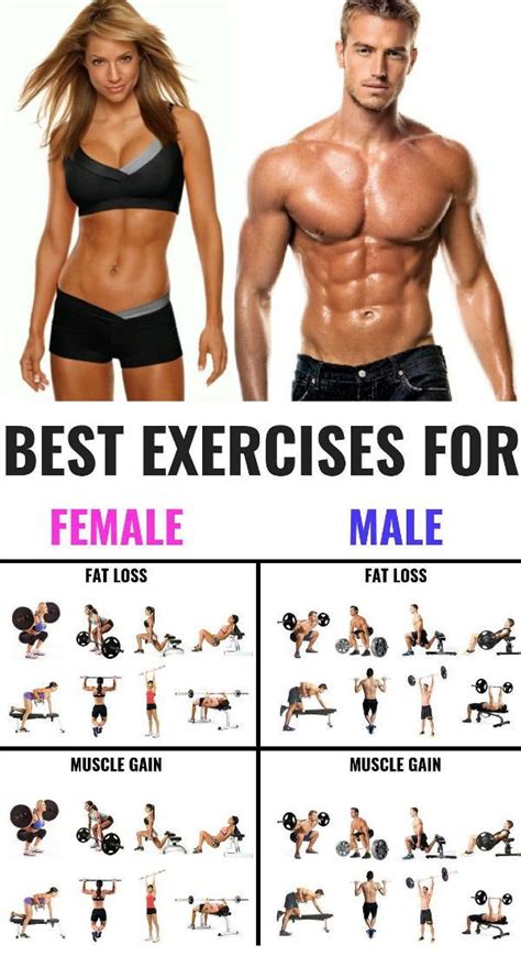 Then find a secret messa. The 25 Best Exercises for Men and Women To Build Muscle ...