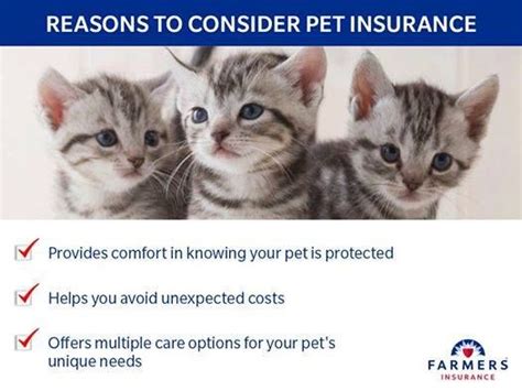 Like human health insurance, pet insurance requires paying a monthly premium in exchange for care and coverage up to a certain amount. You've insured your house, your car, and your family, but ...