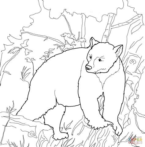 Let the glue dry, and then cut around the edges of the bear. American Black Bear Coloring Page - Coloring Home