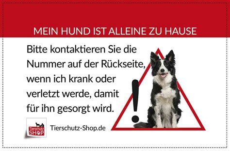 We did not find results for: Notfallkarte für Ihr Haustier