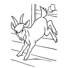 Pygmy goats coloring pages are a fun way for kids of all ages to develop creativity, focus, motor skills and color recognition. Farm Work and Chores Coloring Pages | Printable Boy ...