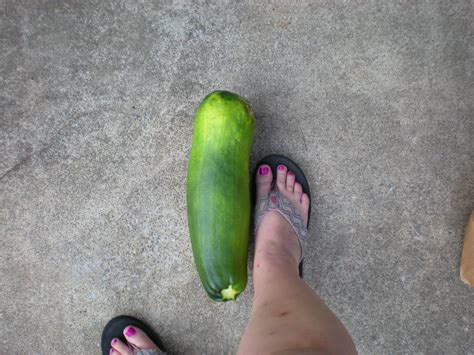 In the garden, zucchini begins to go bad if it is not harvested while the fruit is still immature. Big Zucchini | Zucchini, Vegetables