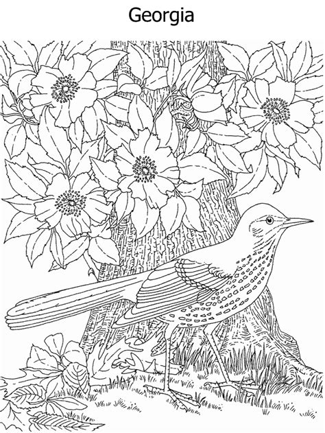 Maryland tree nursery now accepting orders. State Flower and State Bird coloring page