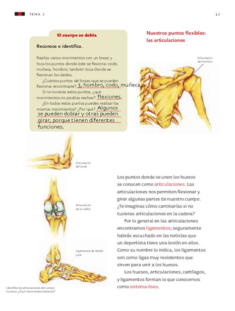 La interacción de las proyecto. Movimientos del cuerpo y prevención de lesiones - Bloque I ...