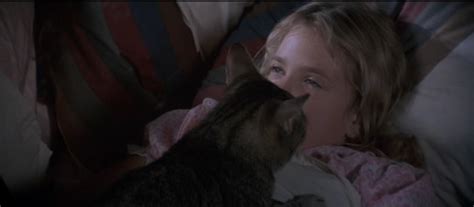 The cats did not appear stressed. Junta Juleil's Culture Shock: Film Review: CAT'S EYE (1985 ...