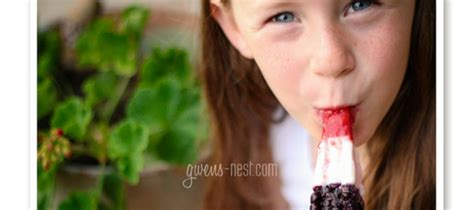 Check spelling or type a new query. Healthy Rocket Popsicle Recipe | Gwen's Nest