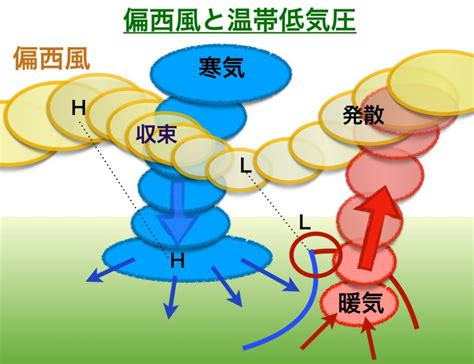 Jul 28, 2020 · 温帯低気圧と前線. 偏西風、低気圧に寄り道（傾圧不安定波1） | 色と形で気象予報 ...