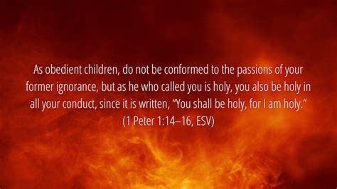 Finally, all of you, have unity of mind, sympathy, brotherly love, a tender heart, and a humble mind. Becoming a Saint - philressler.com