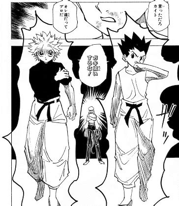 It wasn't random, it was planned long in advance. Gon Transformation Manga Panel / Gon VS Pitou | Anime ...