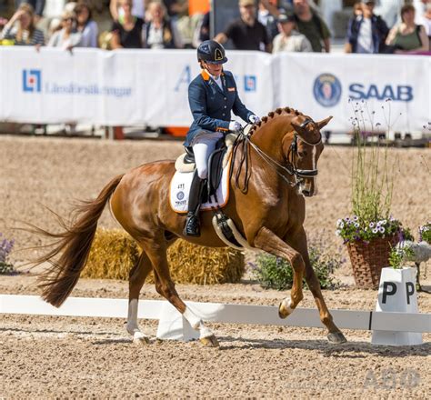 Often compared to ballet, the intense connection between both human and equine athletes is a thing of beauty to behold. Tom Reuzenaar onverwachts overleden - Horses.nl