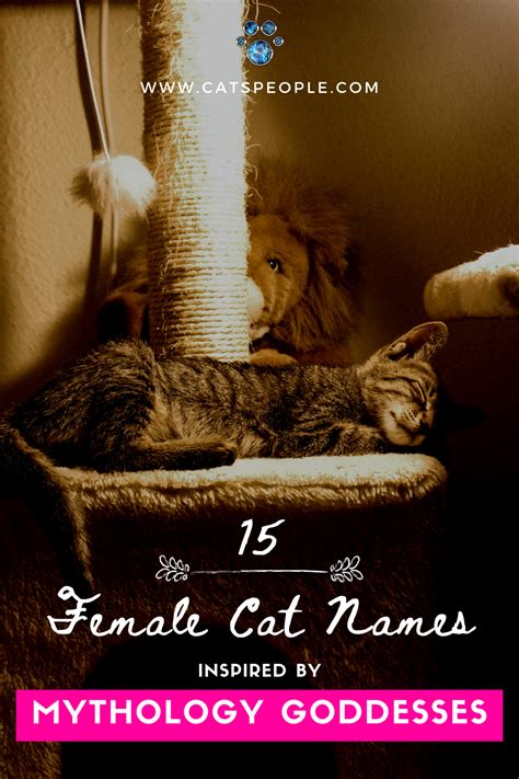 To help you choose, we have put together a list of our top 500+ badass, tough and mean cat names below. 15 Goddess Names for Female Cats in 2020 | Cat names, Cat ...