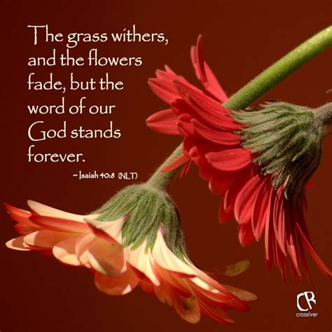 I pray these bible verses about faith will set a foundation for you to study and grow in your faith, and encourage you when you are challenged. 858 best Flowers and verses images on Pinterest ...