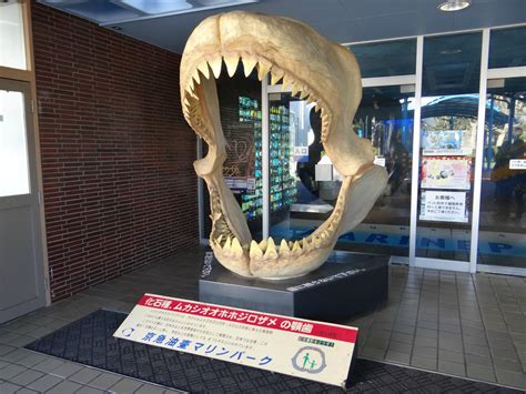 京急油壺マリンパークは、西に相模湾が広がり、江ノ島、富士山、伊豆半島そして伊豆大島まで一望できる風光明媚な位置に、 1968 （昭和 43 ）年の京急電鉄創立 70 周年記念事業として開業しました。開業当時、東洋一といわれた大 京急油壺マリンパーク～ふらりと | 水族館とか動物園を巡って