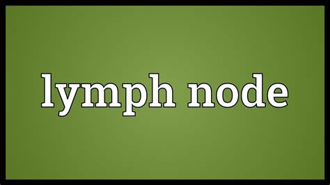 These crustaceans make excellent hosts and enjoy. Lymph node Meaning - YouTube