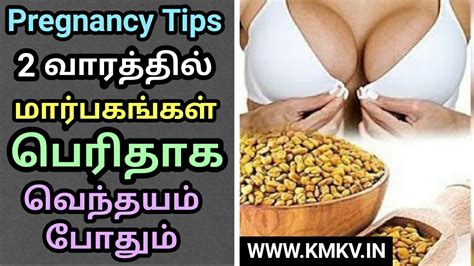 So, here are the amounts you should start with மார்பகம் பெரிதாக வெந்தயம் | How to Use Fennel Seeds for ...