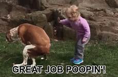 gifs gif dogs great tenor dog job potty pooping girl than poopin poop better her go encouragement woman people