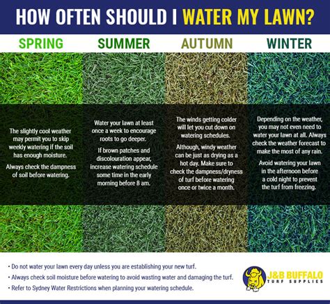 How often should you see a chiropractor? How often should I water my lawn? | J&B Buffalo Turf Supplies