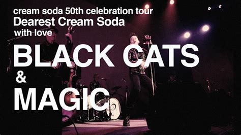 Explore a wide range of the best soda cat on aliexpress to find one that suits you! Dearest Cream Soda BLACK CATS & MAGIC - YouTube