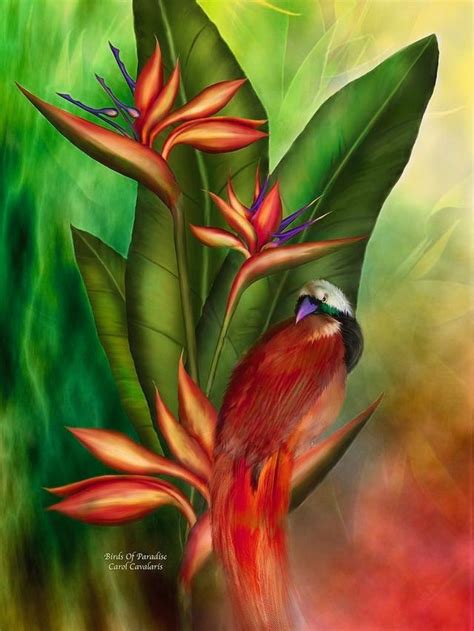 2,933 likes · 9 talking about this. My favorite pics! by Kristie Rene' | Birds of paradise ...