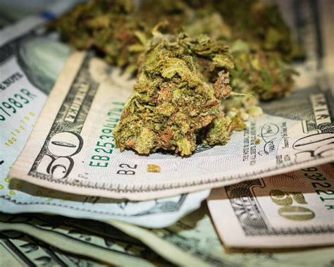 See which cryptocurrency investments are best for you in 2021. The Top Marijuana Stocks to Buy for the Second Half of ...