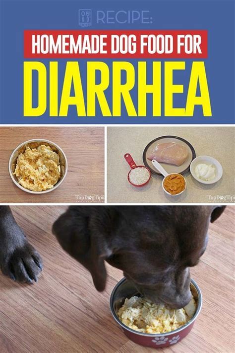 The weight of your dog matters. Recipe: Homemade Dog Food for Diarrhea | Dog food recipes ...