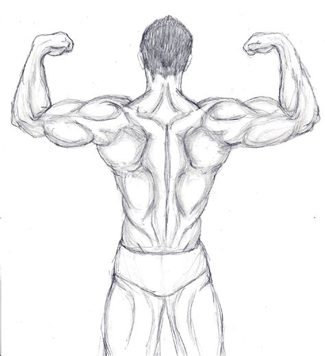 The ultimate reference for comic book artists hart, christopher on amazon.com. Back Muscle Practice by BloodWolfGurl on DeviantArt