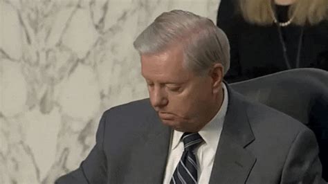 United states senator from south carolina. Lindsey Graham GIF by GIPHY News - Find & Share on GIPHY